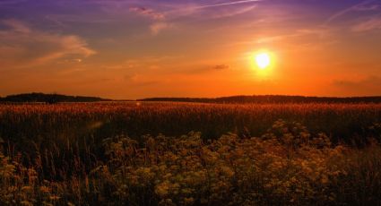 Solsticio de verano 2021: ¿Por qué hoy es el día más largo del año?