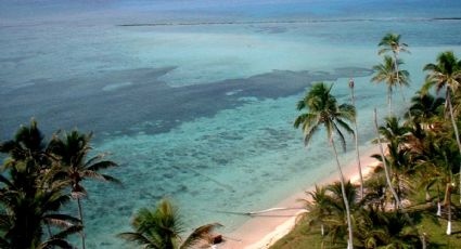 Isla Lobos: cómo llegar, cuánto tiempo es de viaje y más cosas que debes saber sobre este lugar en Tuxpán