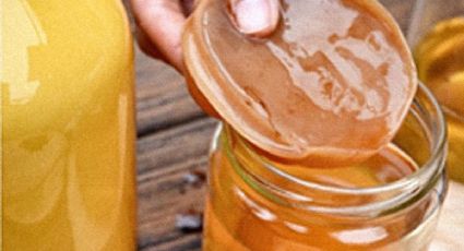 Kombucha: ¿Qué es y cuáles son sus beneficios?