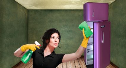 3 trucos naturales para eliminar los malos olores del refrigerador