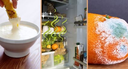 5 cosas en tu refrigerador que debes sacar YA porque lo apestan y ensucian