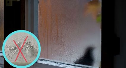 El mejor método para evitar que las ventanas suden en invierno y generen humedad