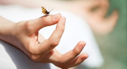 ¿Cómo empezar con la meditación si eres principiante?