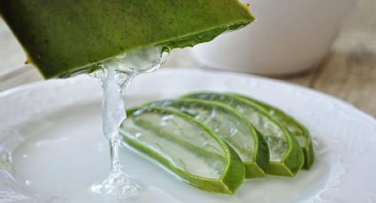 Desinflama el colon con este delicioso jugo de aloe vera | RECETA