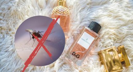 El perfume antimosquitos que huele delicioso y debes probar ya