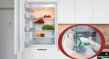 ¿Cómo limpiar el refrigerador y quitar malos olores?