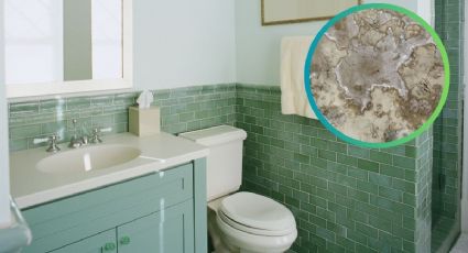 ¿Cómo hacer que el baño no huela a humedad?