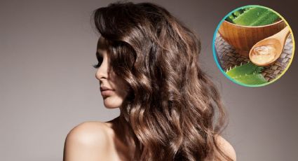 ¿Cómo darle brillo e hidratación al cabello al instante?