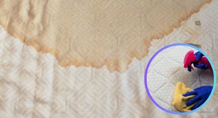 Limpieza: elimina las manchas del colchón y malos olores con este ingrediente casero