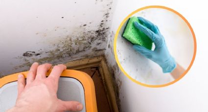¿Cómo quitar la humedad y el salitre de las paredes?