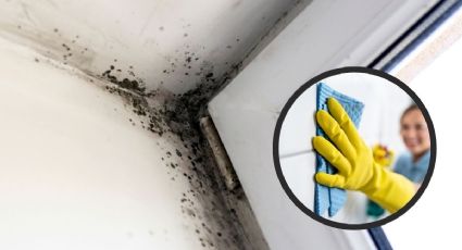 ¿Cómo quitar las manchas de humedad del techo y paredes?
