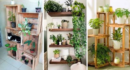 Las ideas más originales de muebles para plantas de interior