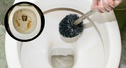 ¿Cómo quitar el sarro de la taza del baño?