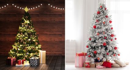 ¿Dónde poner el árbol de Navidad para tener suerte y riqueza?