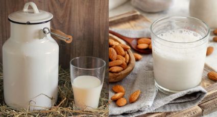 Leche de vaca vs leche de almendras: ¿cuáles son sus diferencias?
