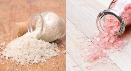 Sal común o sal del Himalaya: ¿cuáles son sus diferencias y cómo usarlas al cocinar?