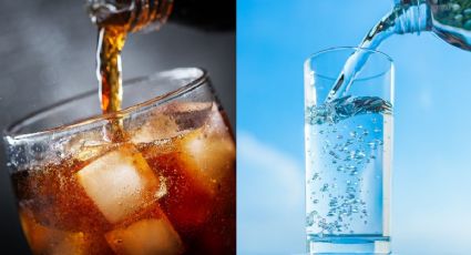 Refresco vs agua mineral: ¿son lo mismo o cuáles son sus diferencias?