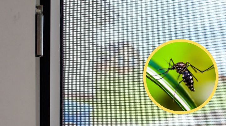 ¿Cómo hacer un mosquitero para ventana casero?