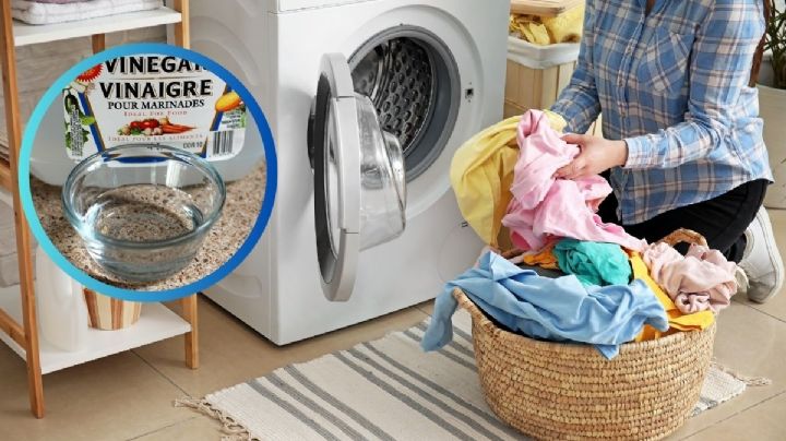 ¿Cómo usar el vinagre en la lavadora para lavar la ropa?