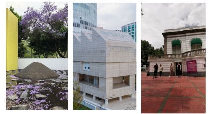 3 museos que puedes visitar GRATIS en la CDMX estas vacaciones