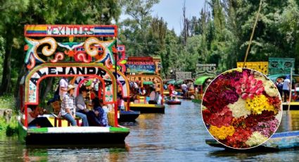 5 plantas para decorar tu casa que puedes encontrar en el Festival de Flores de Xochimilco