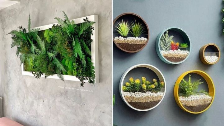 5 formas para decorar una pared con plantas naturales