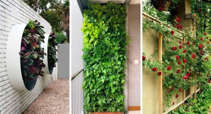 Remodela tu jardín con estas 4 ideas para crear un muro verde en la pared