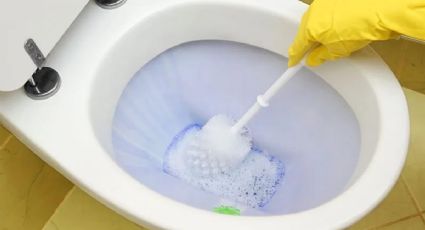 ¿Cómo quitar el sarro del baño? 3 mezclas para limpiar el inodoro y las juntas del piso