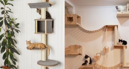 Ideas para decorar la pared con muebles para gato