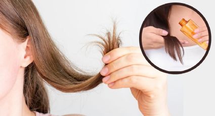 Agrega este ingrediente natural a tu acondicionador para suavizar e hidratar tu cabello seco