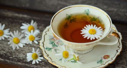 ¿Qué pasa si tomo té de manzanilla todos los días?