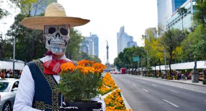 Festival de las Flores de Cempasúchil: ubicación, horario, talleres y más actividades del Día de Muertos