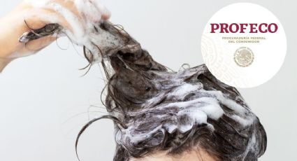 Las marcas de shampoo que nunca debes usar en tu cabello, alerta Profeco