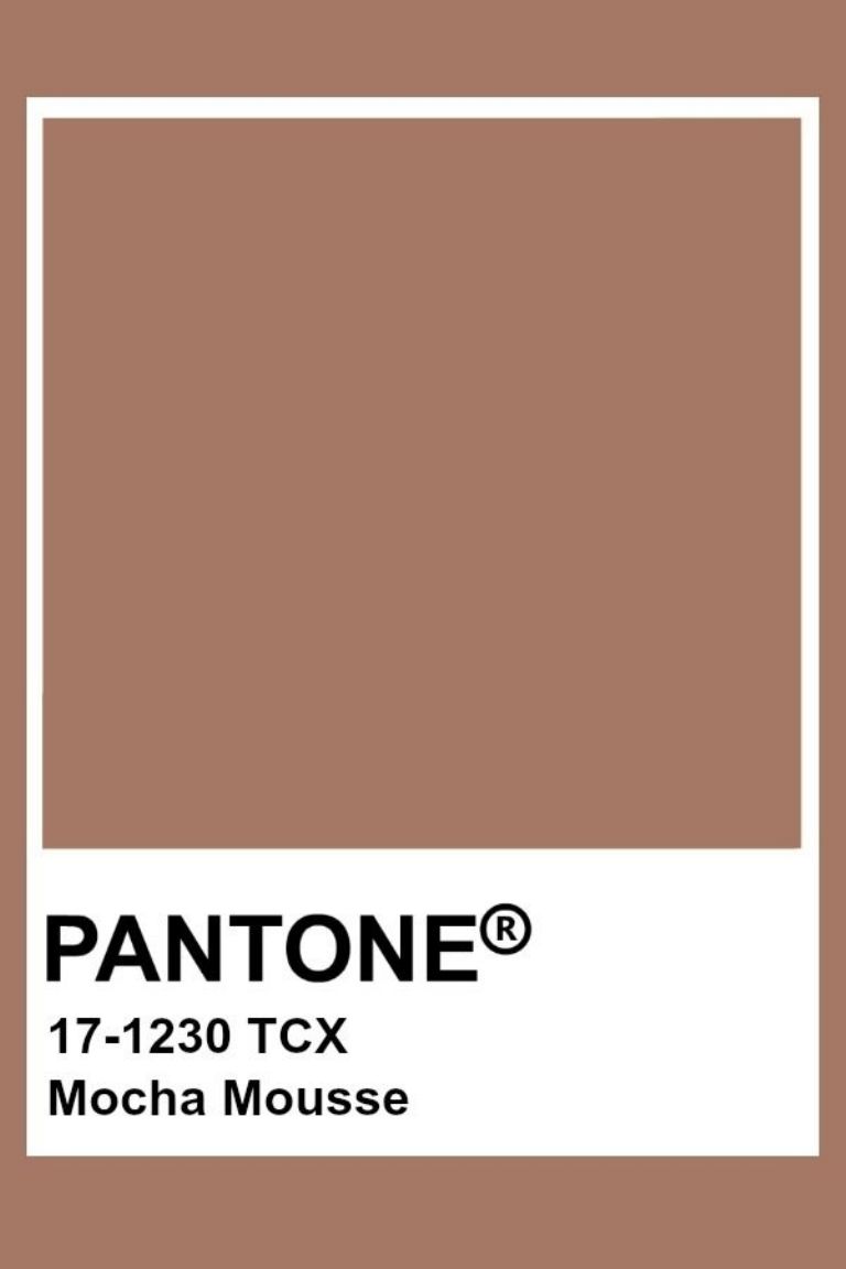 Color pantone 2024 mocha mousse