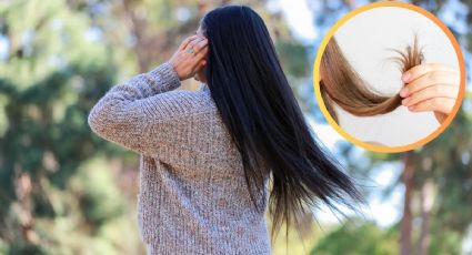 Pelo en pausa: 3 consejos para que te vuelva a crecer el cabello