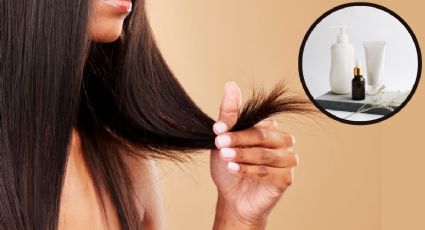 ¿Cómo hidratar el cabello reseco por tintes? 3 productos para nutrirlo sin gastar de más