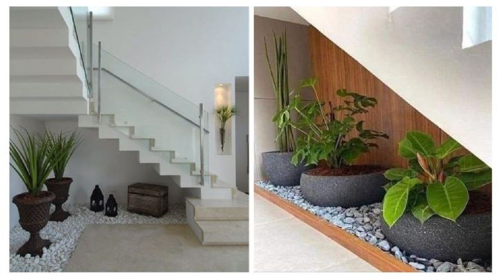 ¿Cómo decorar con plantas debajo de la escalera? 4 ideas para rediseñar tu hogar