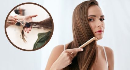 Keratina natural: tratamiento para eliminar el frizz y alaciar el cabello con 2 ingredientes