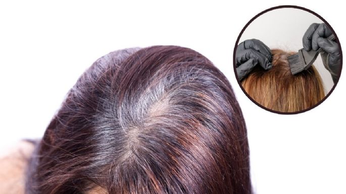 Dile adiós a las canas: tinte natural hecho con solo 2 ingredientes sin amoniaco