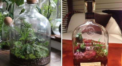 Con una botella, crea 4 tipos de mini jardín con material reciclado