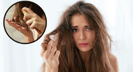 Pon a prueba esta mezcla para devolverle la vida a tu cabello seco y maltratado