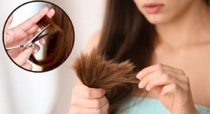 Corte bordado, cómo hacer la tendencia para quitar puntas abiertas del cabello sin perder el largo