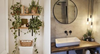 ¿Cómo poner plantas en el baño? 3 ideas para darle armonía y absorber la humedad