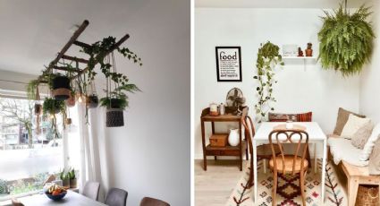 ¿Cómo decorar un comedor con macetas colgantes? 4 ideas perfectas para tu casa