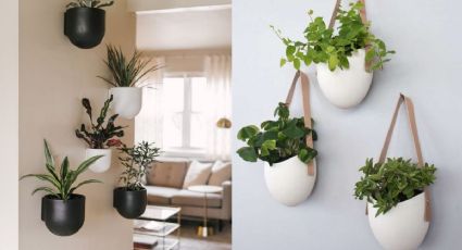 Macetas en la pared: 4 ideas para poner plantas en la sala de tu casa