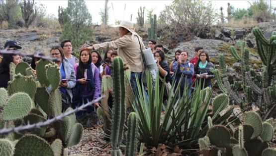 Jardín botánico de la UNAM: compra plantas y aprende cómo cuidarlas en su expo 2024