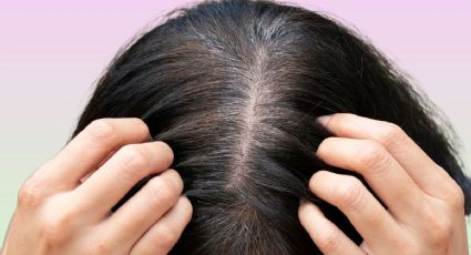 ¿Las canas crecen más rápido que el pelo normal? Los expertos resolvieron el mito