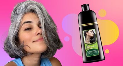 Shampoo para oscurecer canas en cabello oscuro que encuentras en Walmart