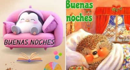 Stickers de "Buenas noches familia" para enviar al grupo familiar de WhatsApp