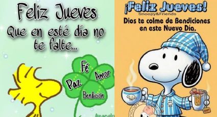 Stickers de "Feliz jueves" para WhatsApp y dar los buenos días a tu familia